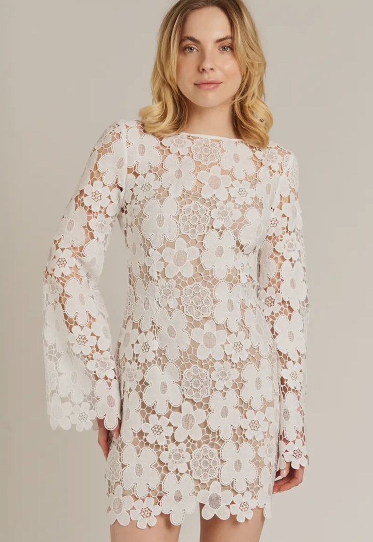 Taryn Lace Dress - Lisalee Collections