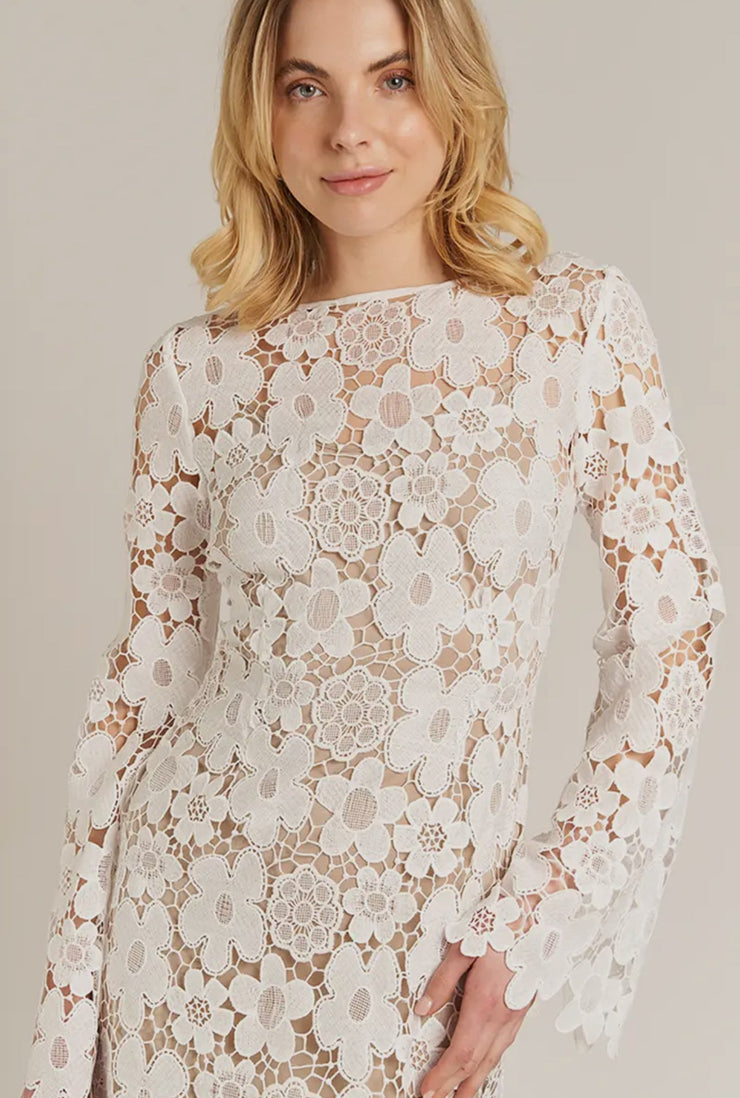 Taryn Lace Dress - Lisalee Collections